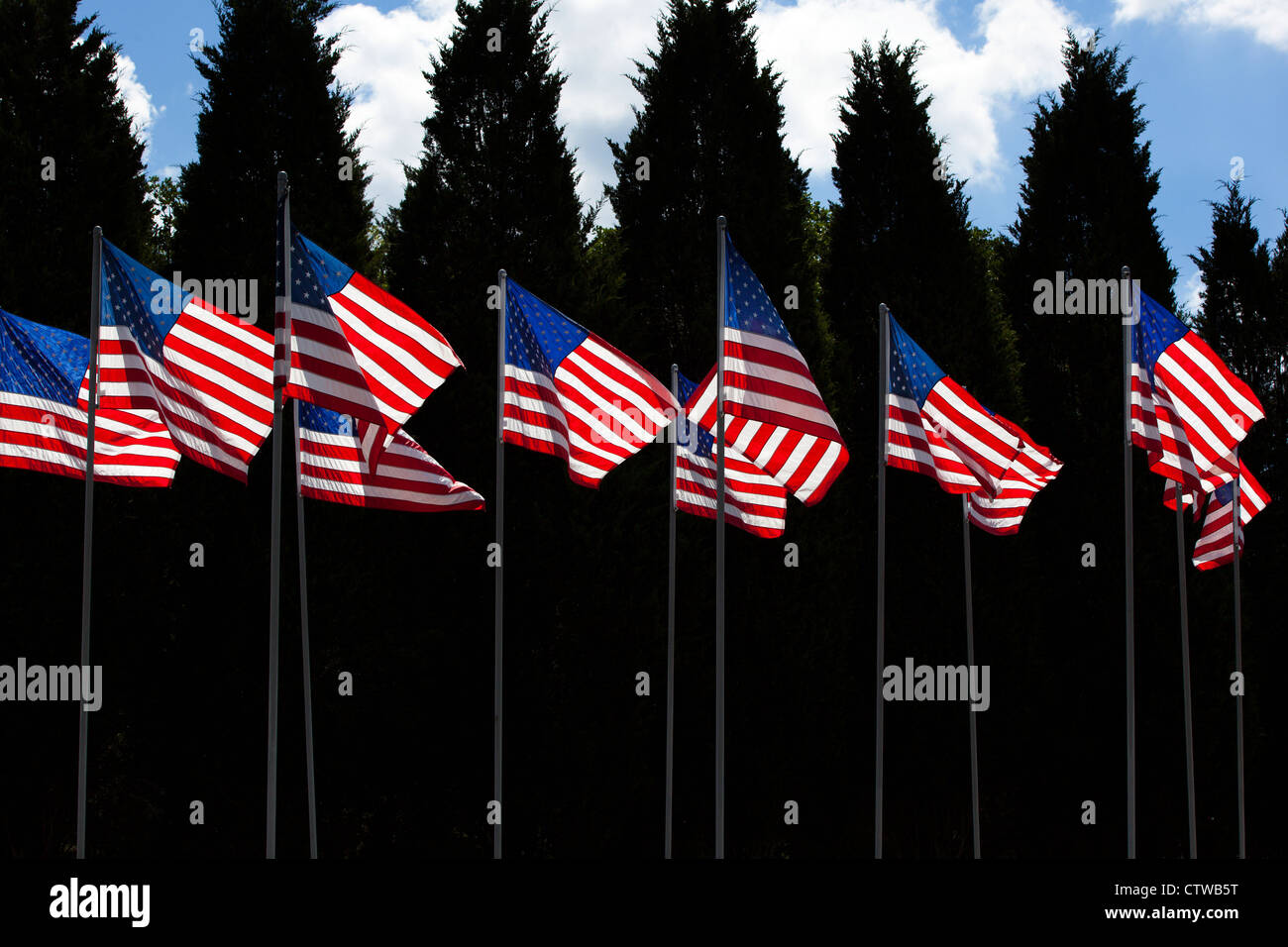 Viele amerikanische Flaggen an einem sonnigen Tag Stockfoto