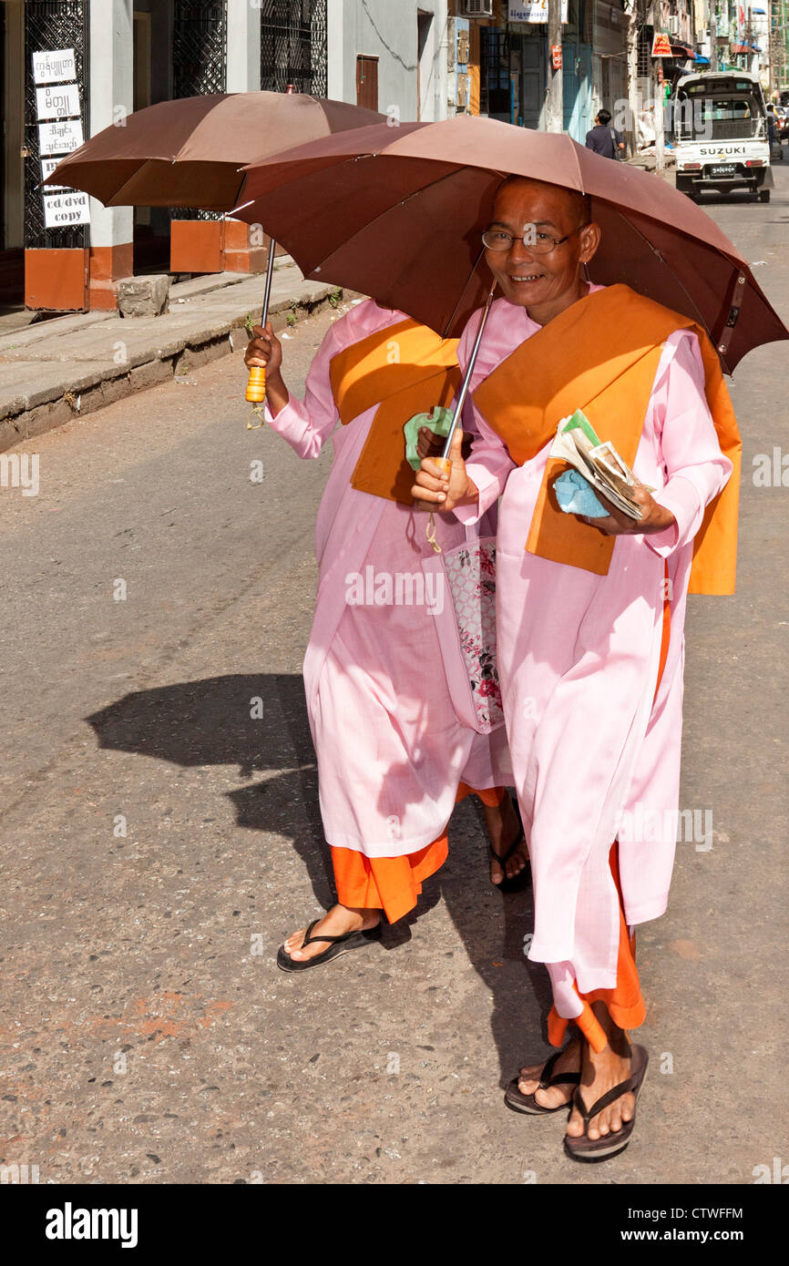 Weibliche buddhistische Mönche, Yangon, Myanmar Stockfoto