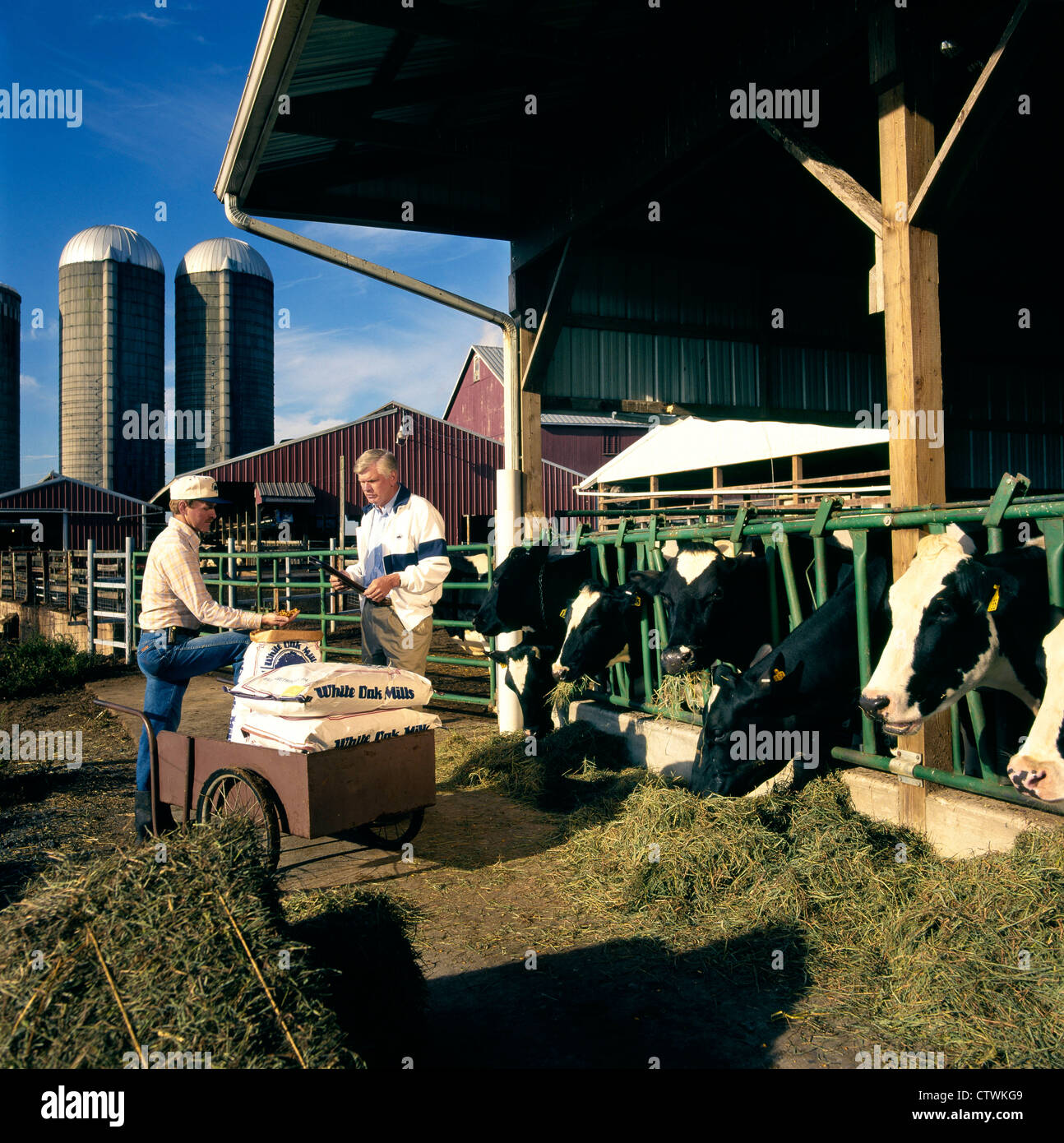 BAUER IM GESPRÄCH MIT LANDWIRTSCHAFTLICHEN VERTRETER Stockfoto