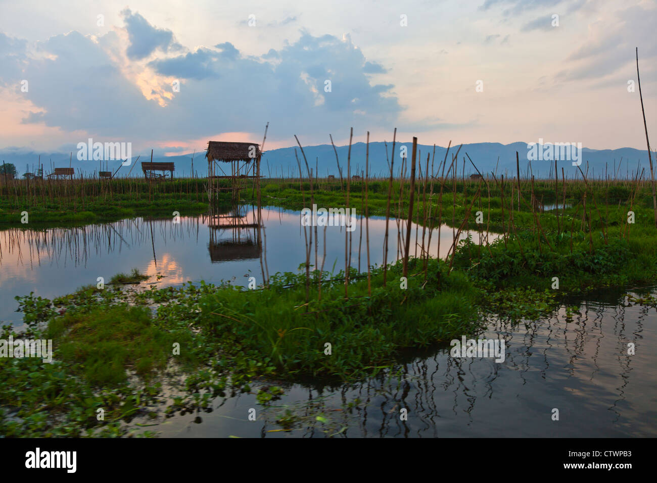 LANDWIRTSCHAFTLICHEN Hütten rund um INLE See - MYANMAR Stockfoto