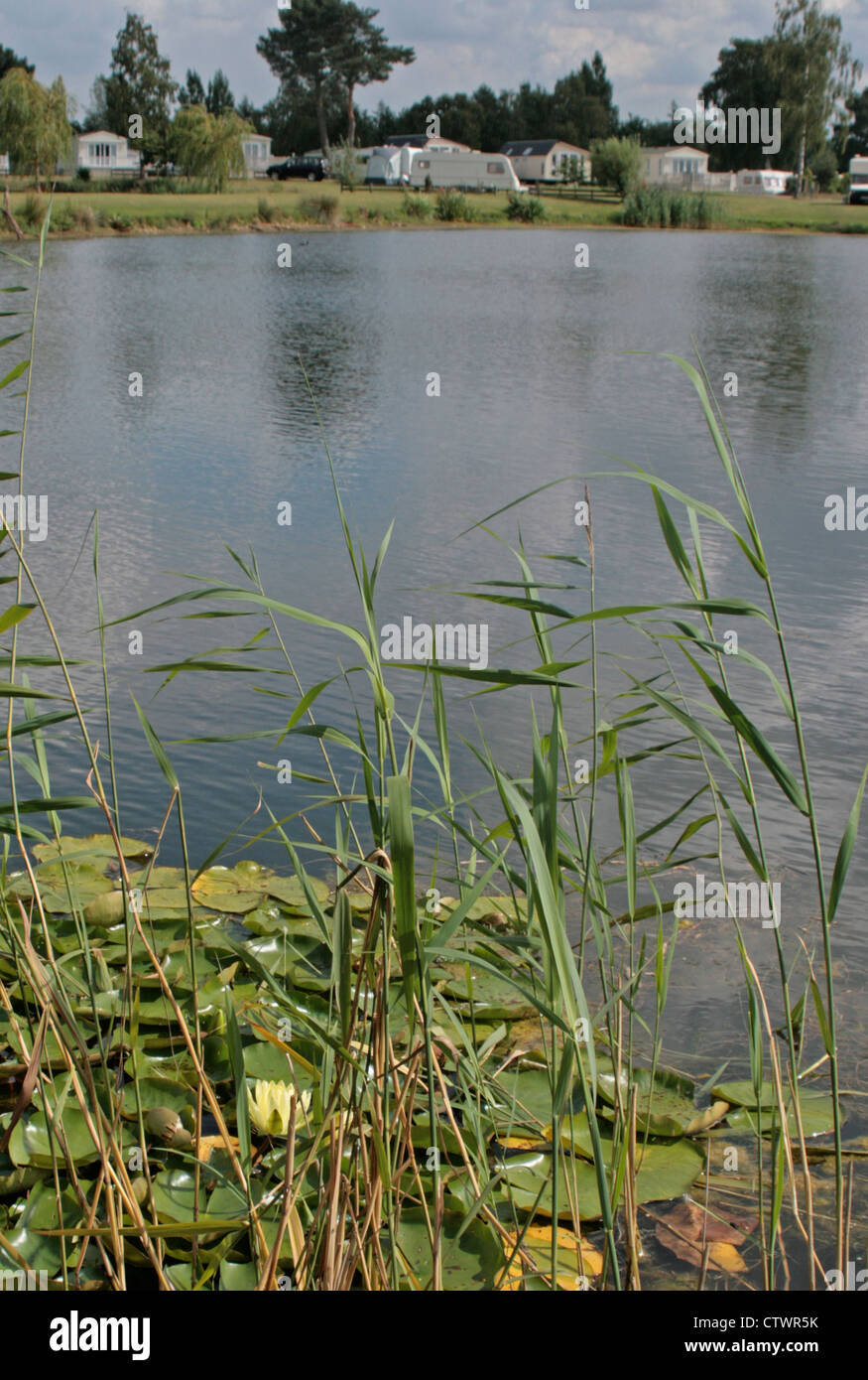 Willow Holt Caravan und Camping-Park Lodge Road, Tattershall, Lincolnshire, LN4 4JS, 01526 343111 Stockfoto