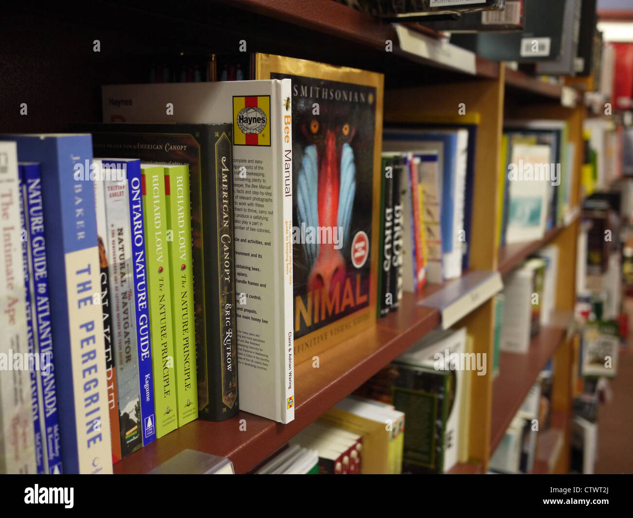 Bücherregal-Buch-Bücher-Stapel zu organisieren Stockfoto