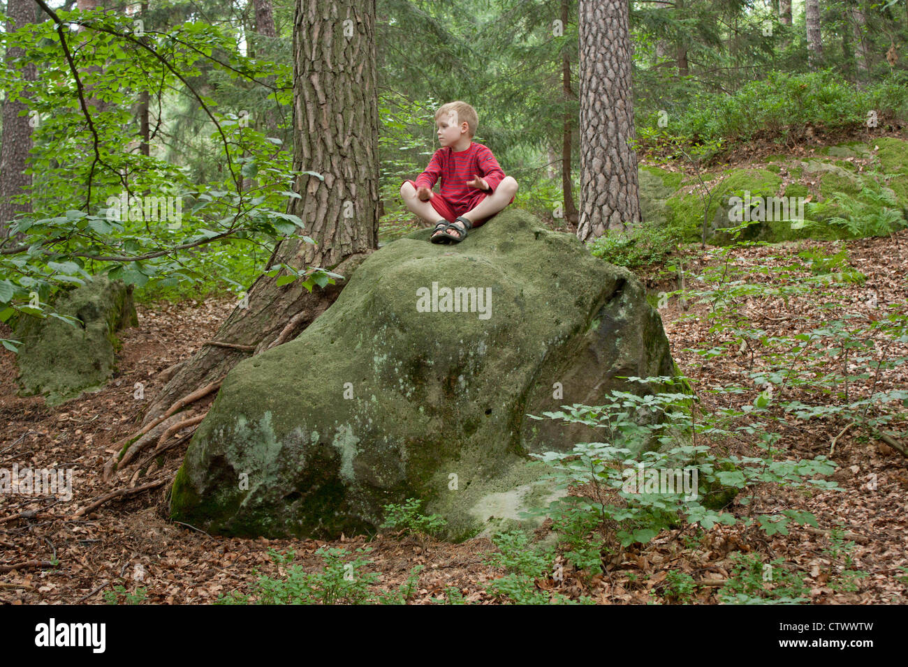 kleiner Junge sitzt auf einem Felsen in der Nähe von Bad Schandau, Sächsische Schweiz, Sachsen, Deutschland Stockfoto