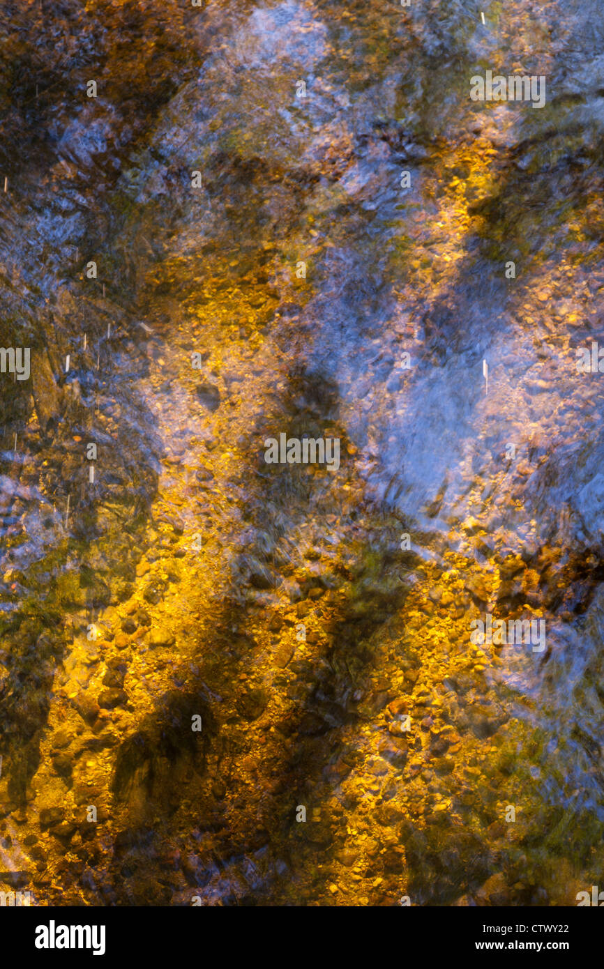 Abendlicht am Bachrand Devonshire in der Nähe von North Bovey, Devon, UK Stockfoto