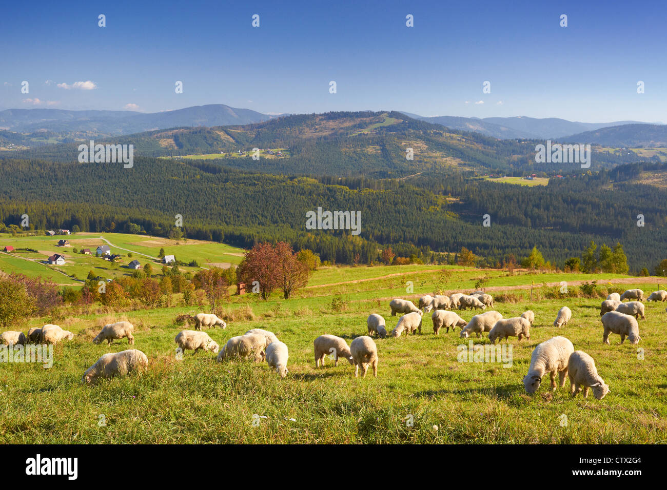 Landschaftspark Schlesischen Beskiden, Polen, Europa Stockfoto