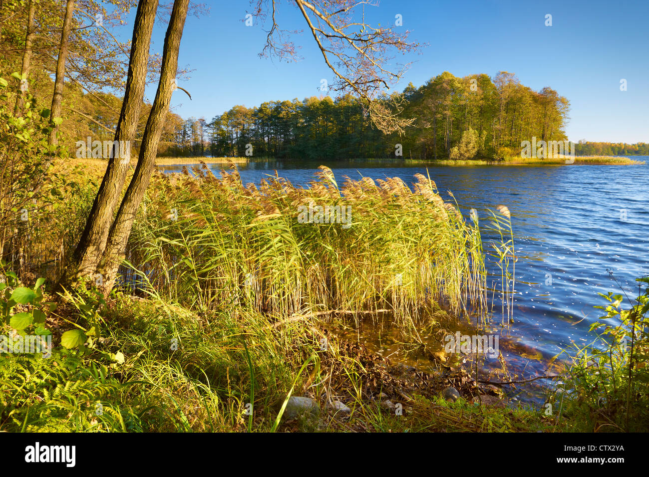 Suwalki Landschaftspark, Czarna Hancza See, Polen, Europa Stockfoto