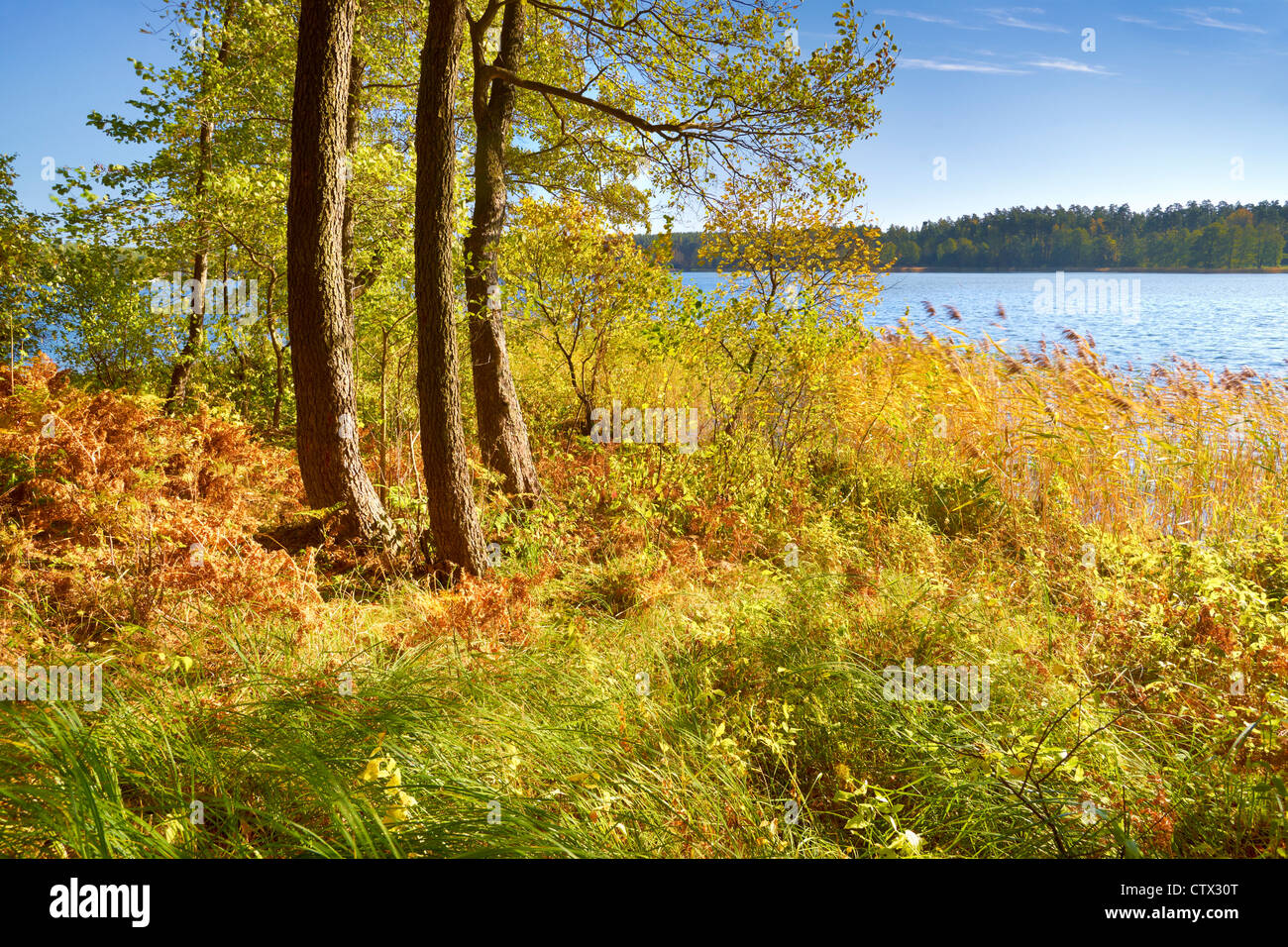 Suwalki Landschaftspark, Polen, Europa Stockfoto