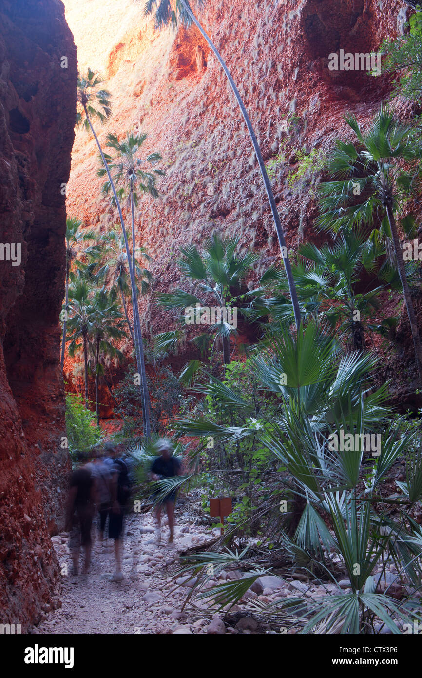 Echidna Chasm, Bungle Bungle Nationalpark, Western Australia, Australia Stockfoto