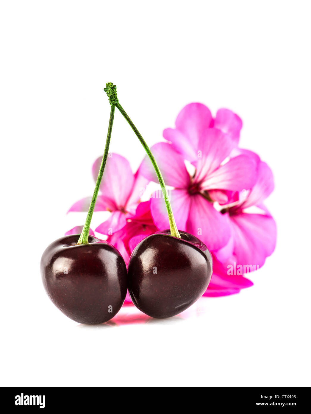 Sweet cherry Stockfoto