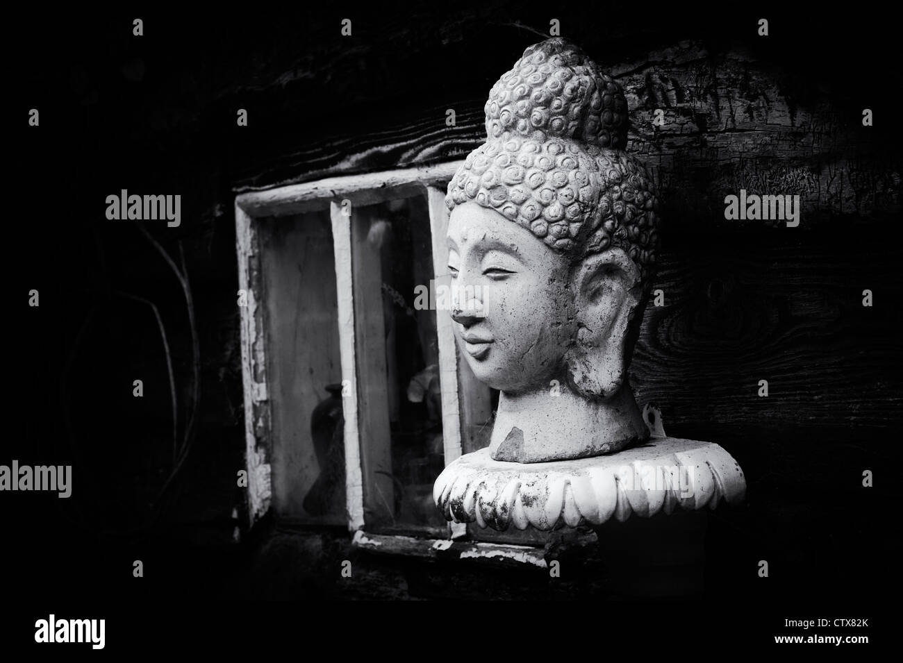 Buddha Kopf Gartenstatue. Monochrom Stockfoto