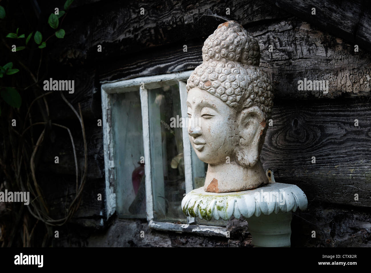 Buddha Kopf Gartenstatue Stockfoto
