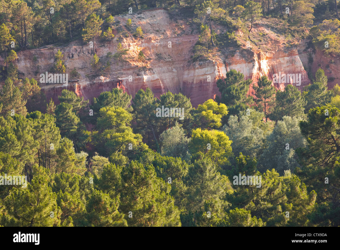 Die berühmten roten Klippen in der Nähe von Roussillon in der Provence. Stockfoto