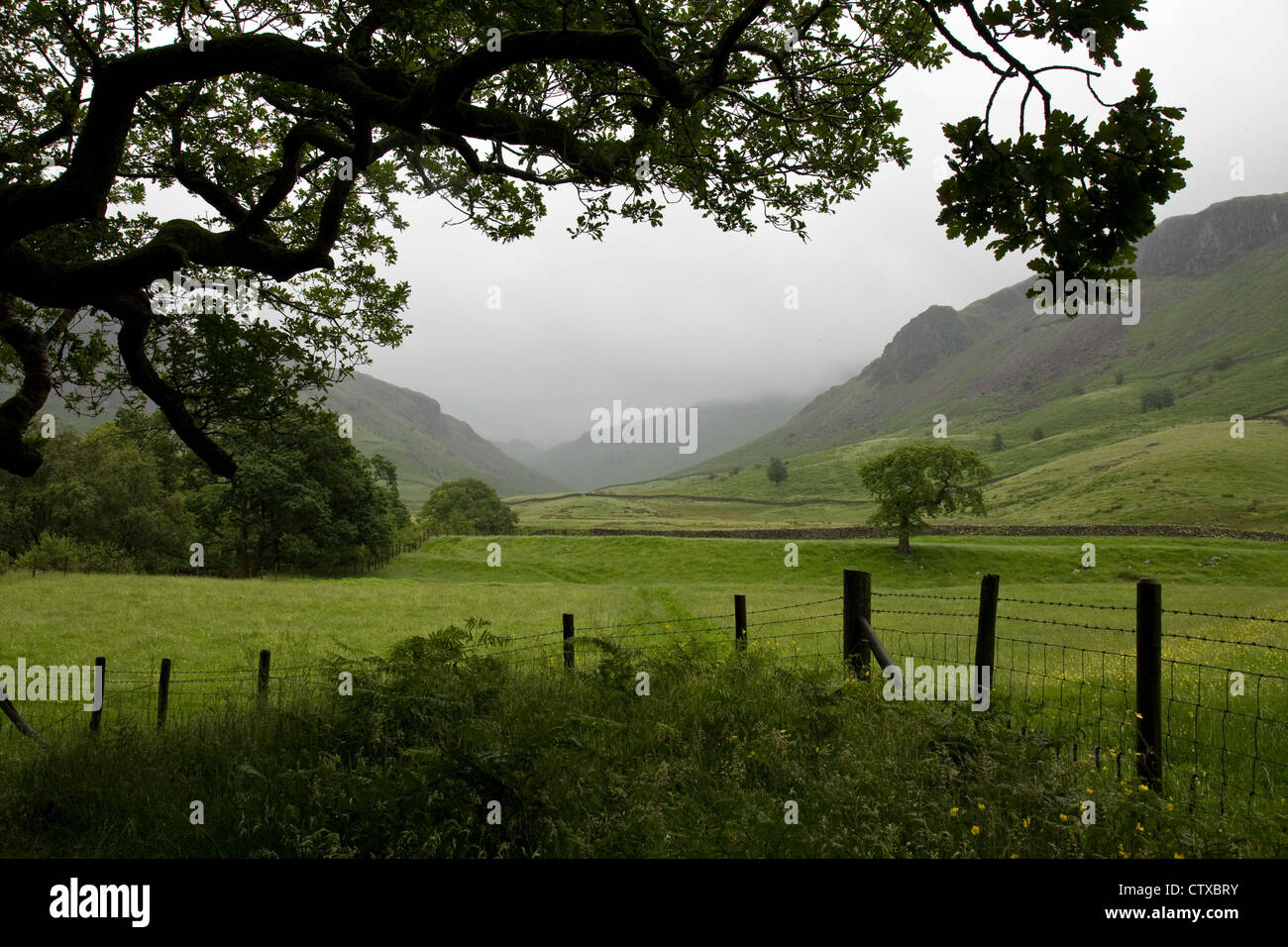 Oberen Eskdale, Cumbria, gesehen vom in der Nähe von Brotherilkeld Stockfoto