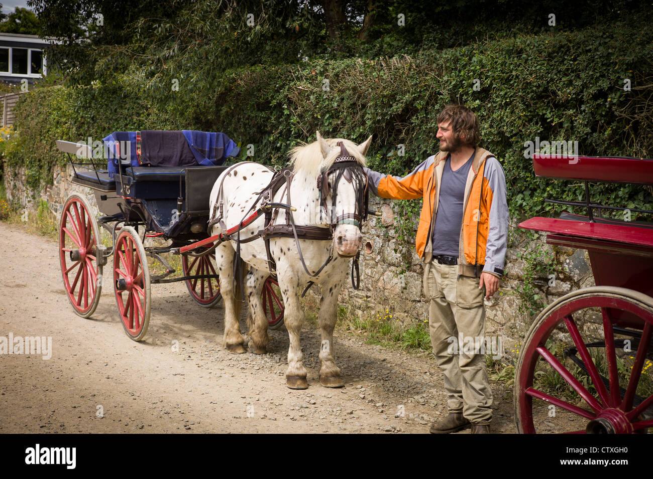 Wagen-Fahrer mit seinem Pferd und Wagen auf Sark Insel erwartet Stockfoto