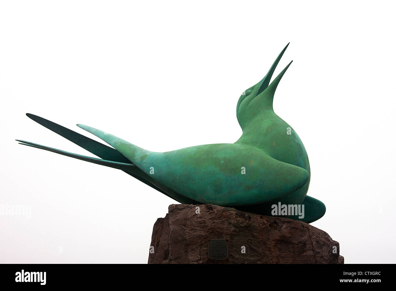 Tern von Geoffrey Dashwood. vorgestellt von Ronnie Corbett OBE Stockfoto