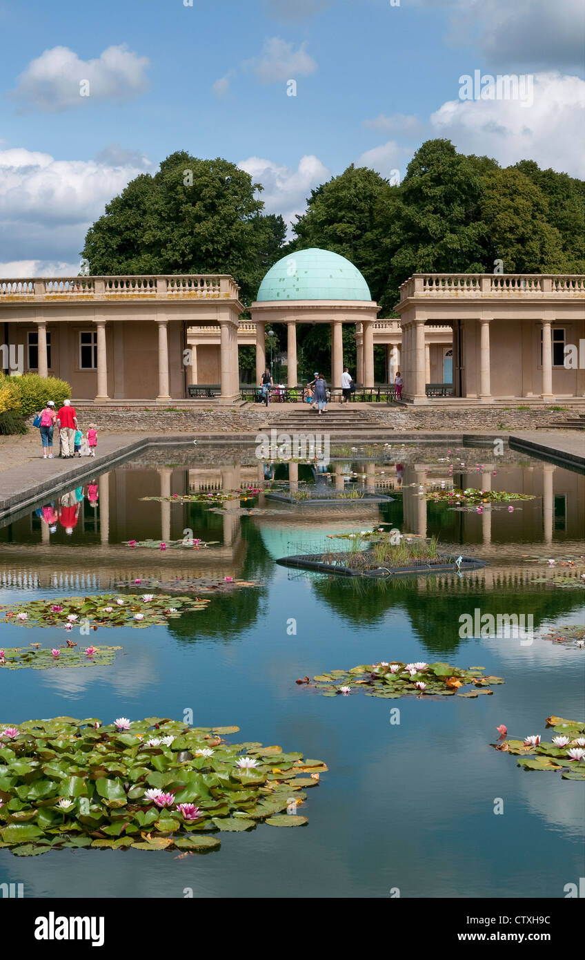 Seerosenteich, Eaton Park, Norwich, Norfolk, england Stockfoto