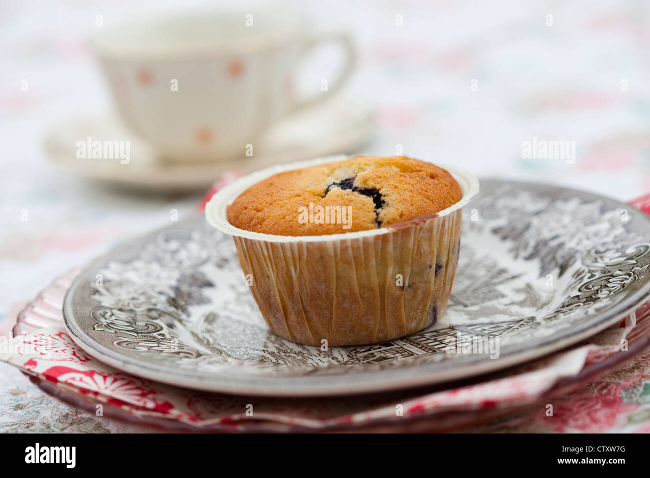 Nahaufnahme der köstliche hausgemachte Blueberry Muffin auf dem Teller Stockfoto
