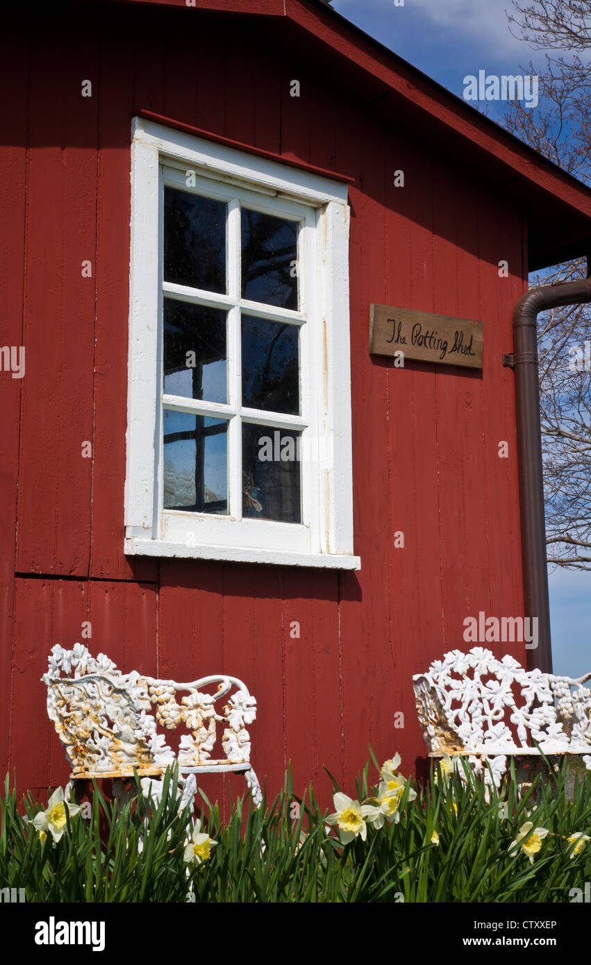 Vintage-Fenster, Frühlings-Daffodil, zwei viktorianische Stühle und ein kleiner knallroter, farbenfroher Holzwerkzeugschuppen außen, Monroe Twp., New Jersey Farm, USA pt Stockfoto