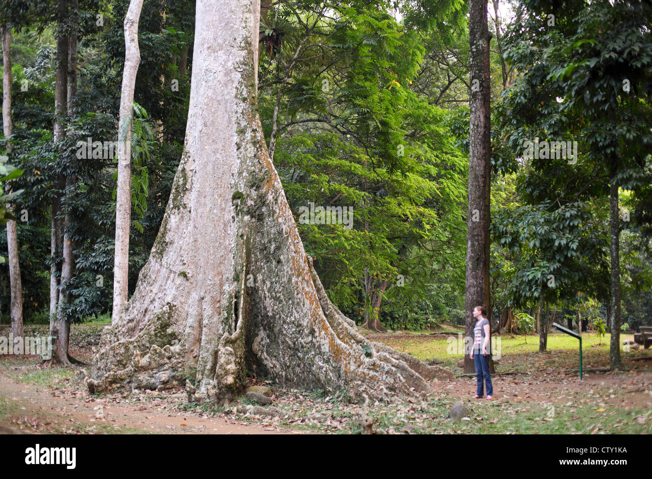 Java, Indonesien, Bogor, Botanischer Garten, Garten der indonesische Präsidentenpalast Stockfoto