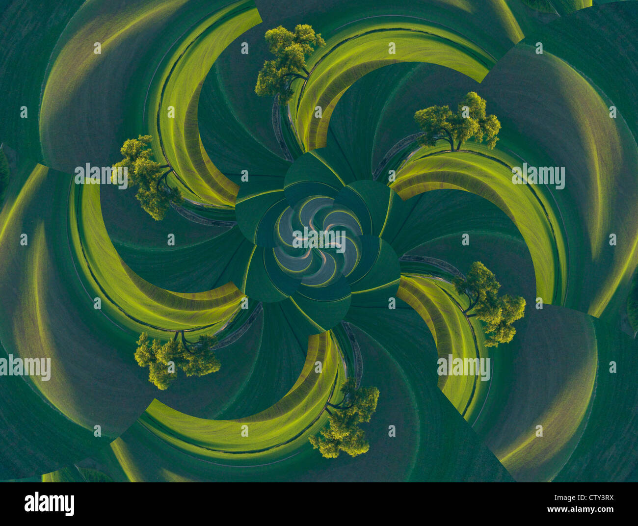 Weizen-Felder Digitaldesign Stockfoto