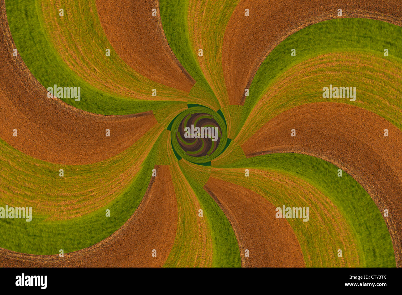 Weizen-Felder Digitaldesign Stockfoto