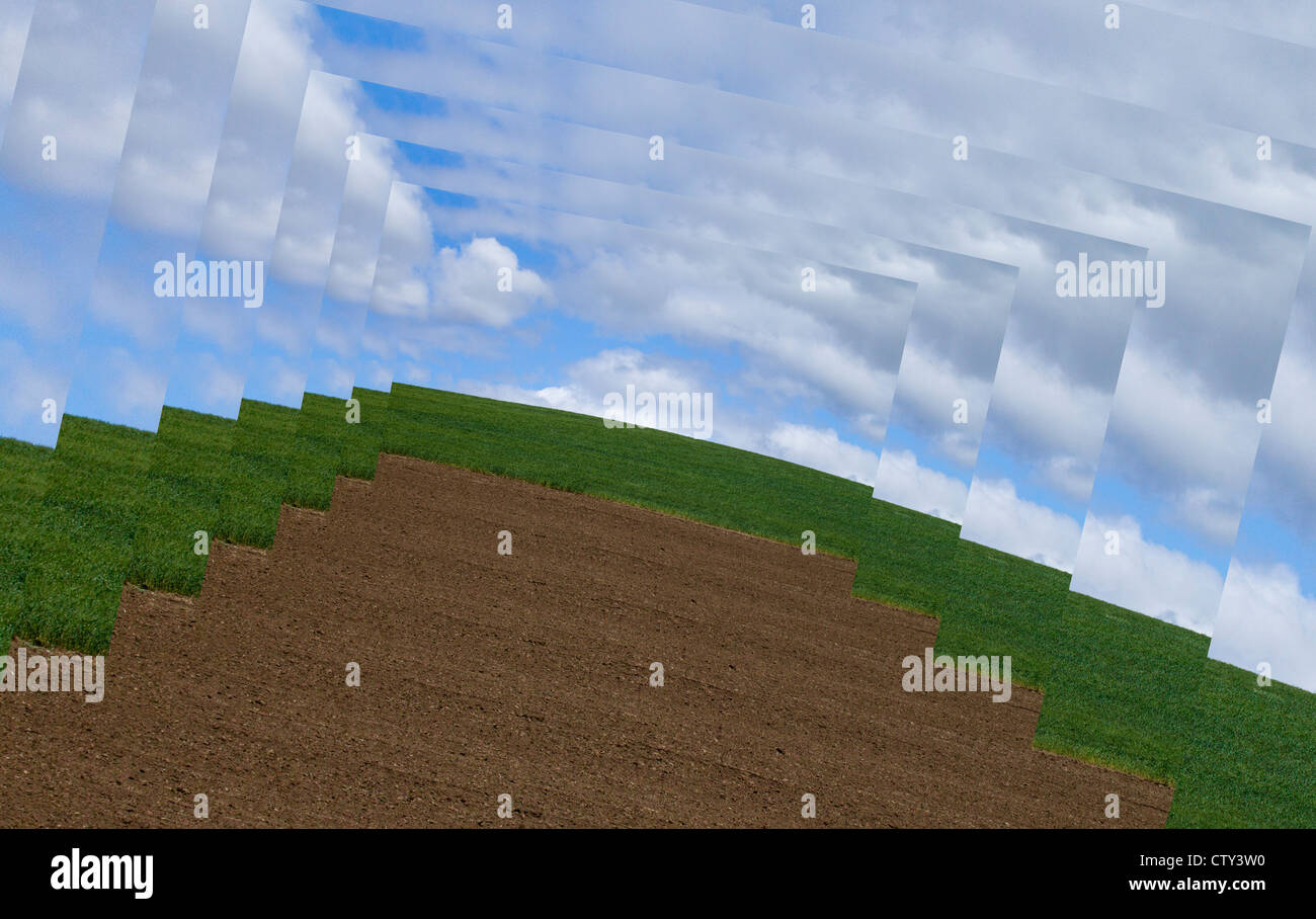 Weizen-Felder Digitaldesign Stockfoto