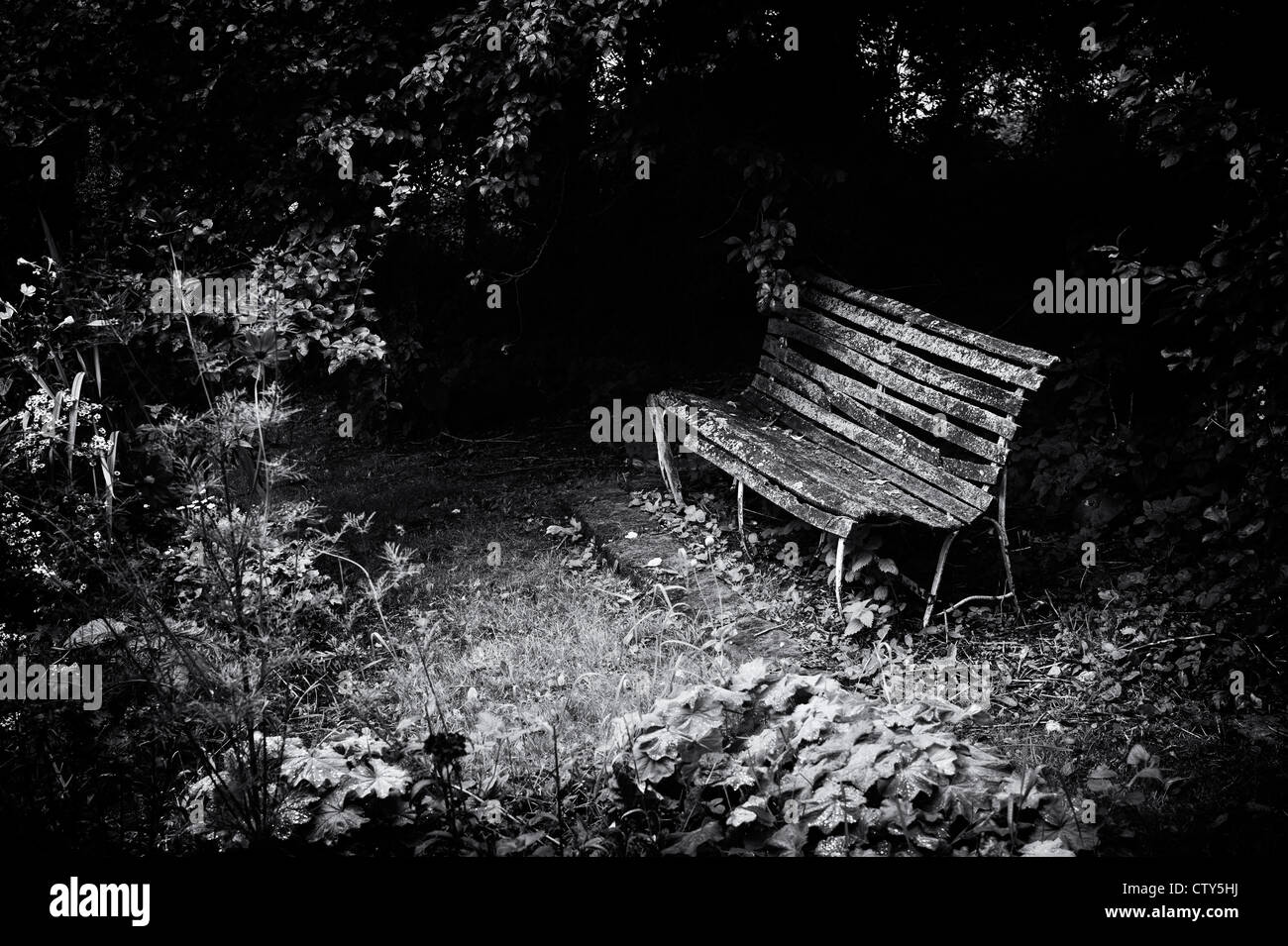 Alter Garten Sitzplatz in einem wilden englischen Garten.  Monochrom Stockfoto