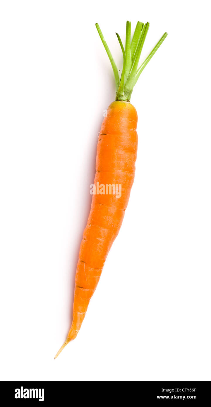 frischen Karotten auf weißem Hintergrund Stockfoto