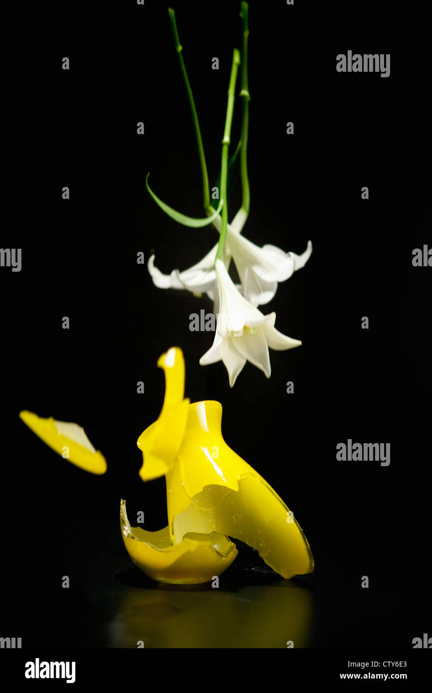 Weiße Lilie und zerbrochene gelbe vase Stockfoto