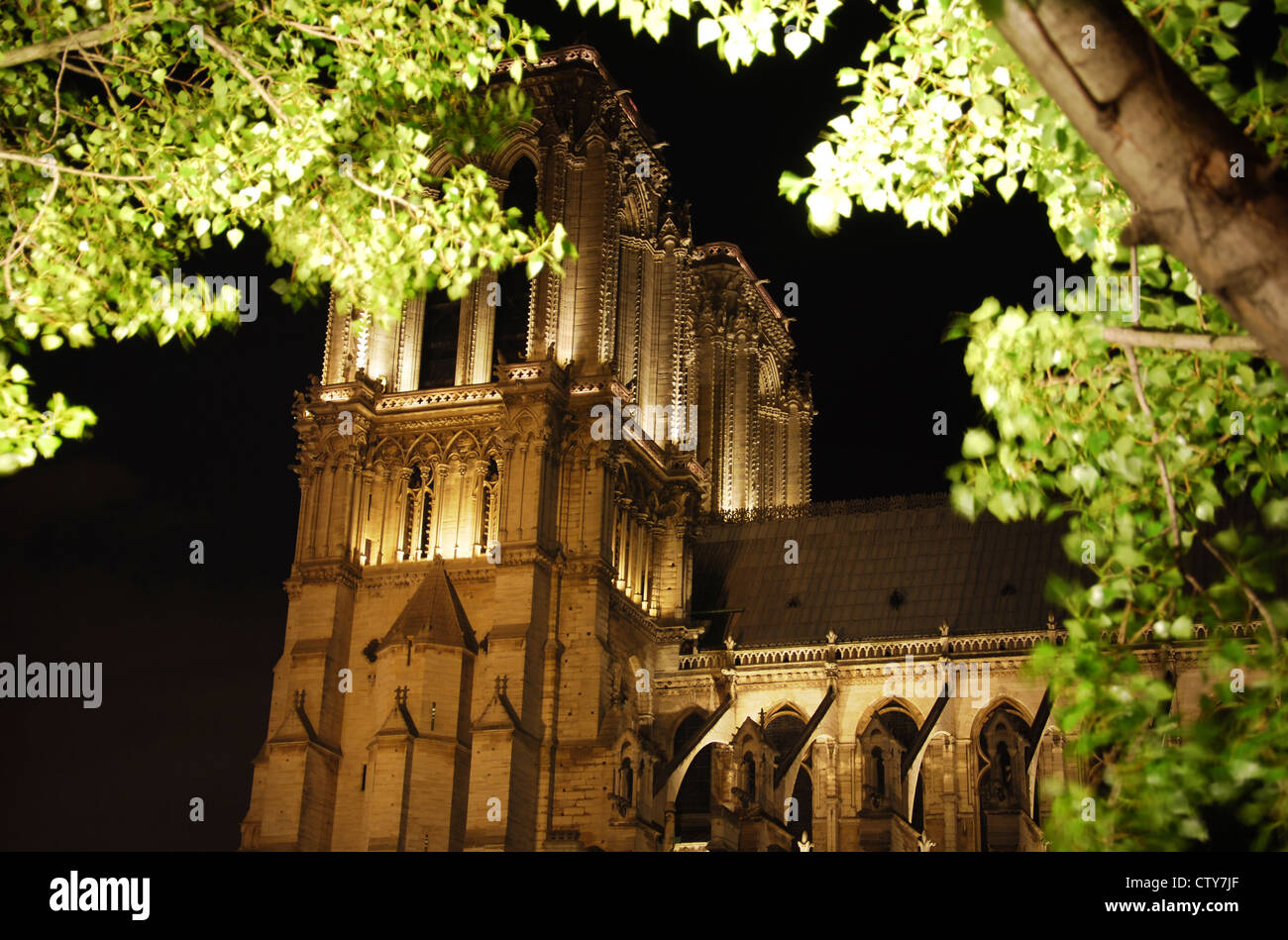 Notre-Dame in der Nacht, Paris Frankreich Stockfoto