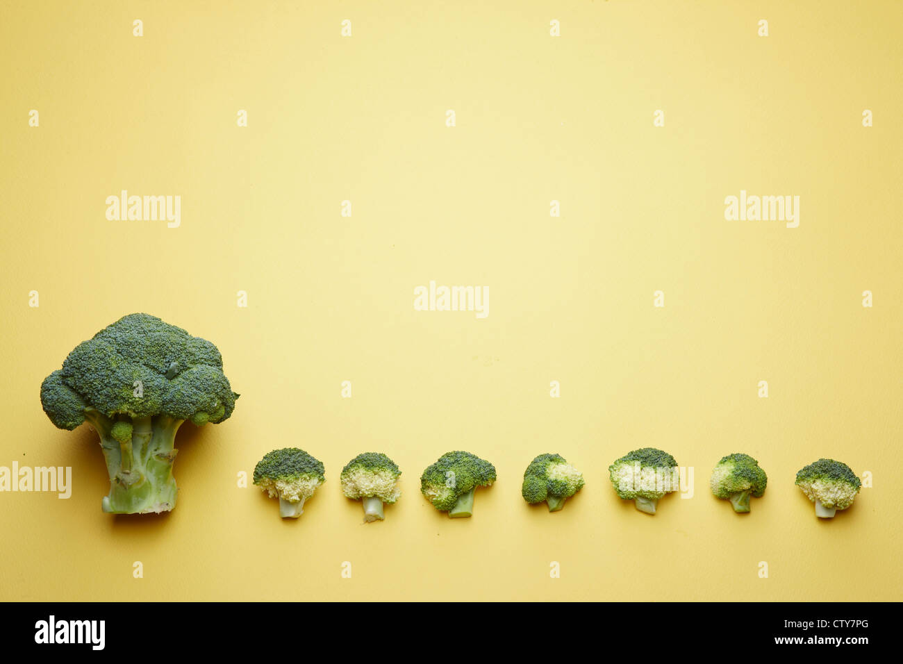 Eine große Brokkoli und kleine Brokkoli Stockfoto