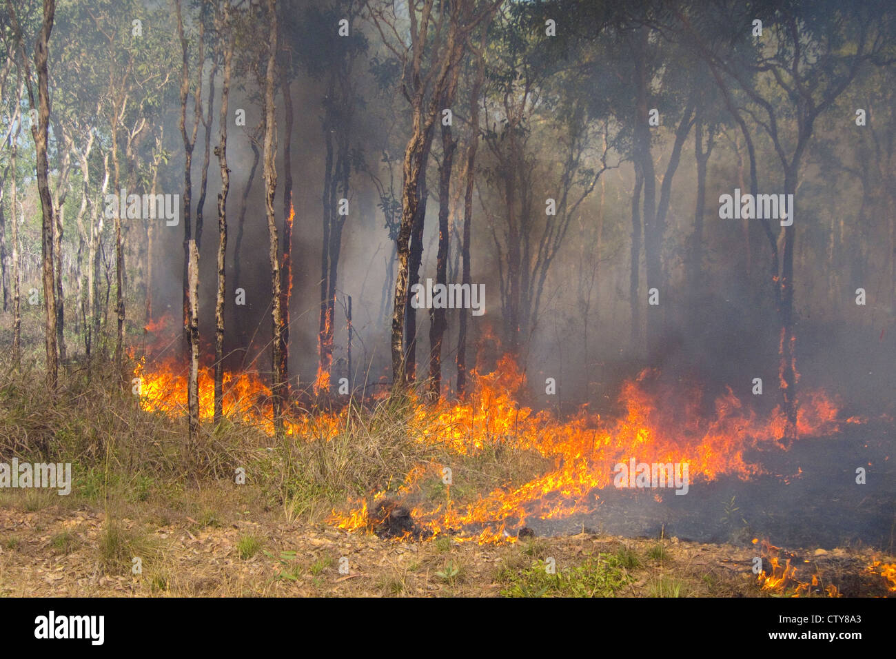 Buschfeuer im australischen outback Stockfoto