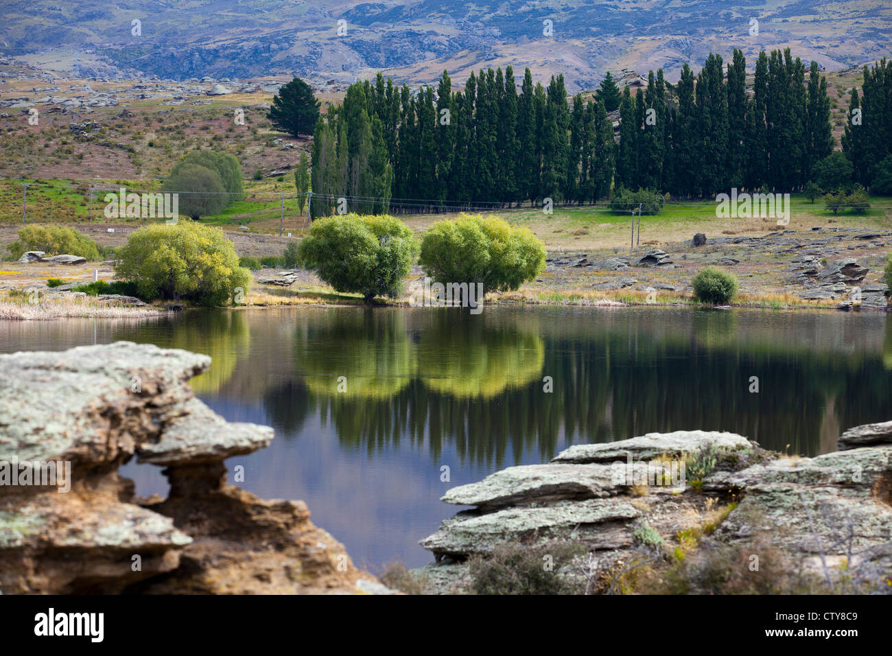 Landschaft in Neuseeland Stockfoto