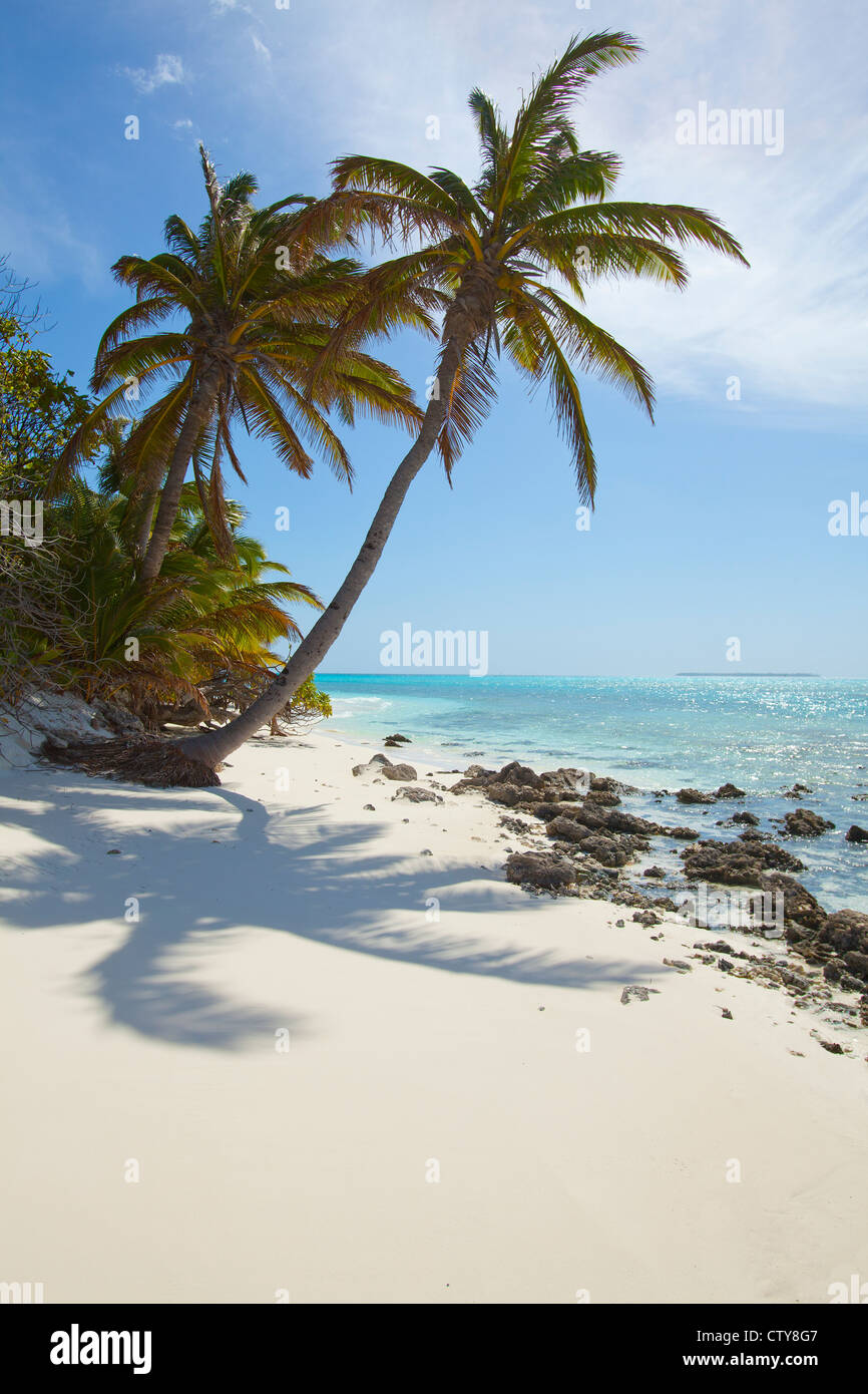 Traumstrand auf einer einsamen Insel im Indischen Ozean Stockfoto