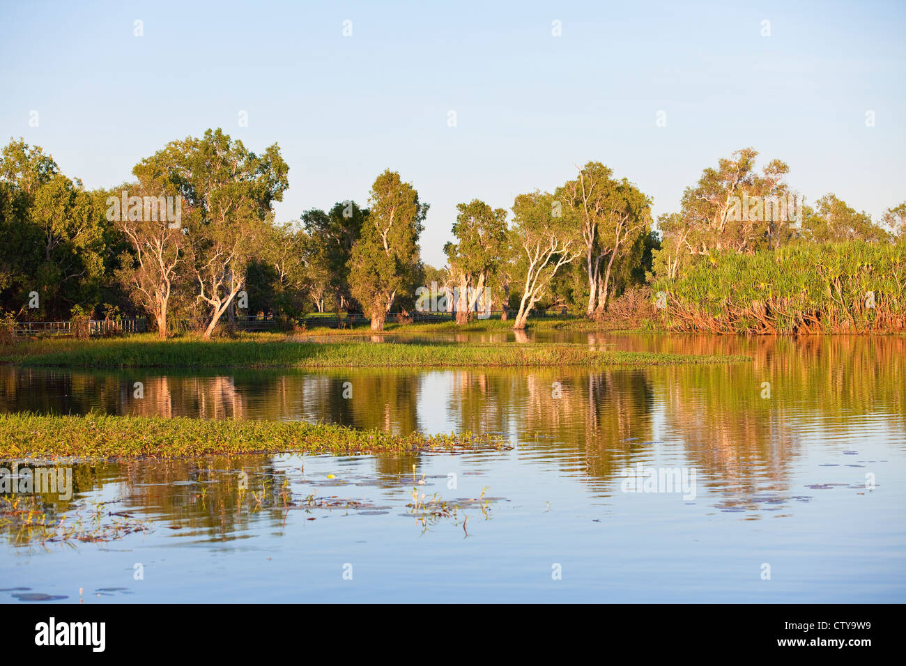 gelbes Wasser Billabong, Australien Stockfoto