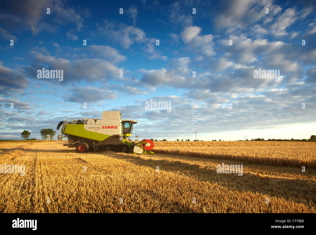 CLAAS Mähdrescher ernten Gerste Stockfoto