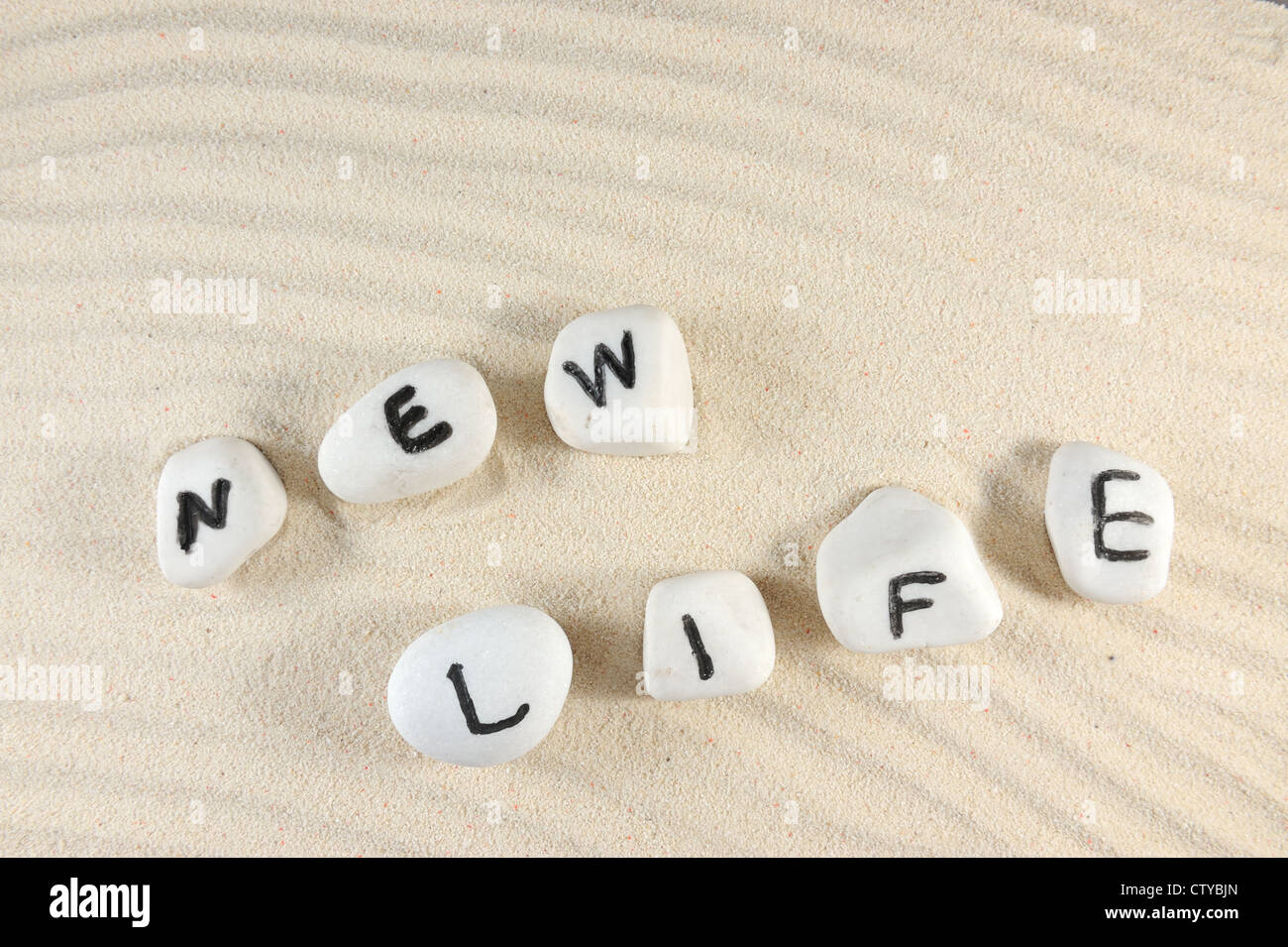 Neues Leben-Wort auf Gruppe von Kieselsteinen mit Sand als Hintergrund Stockfoto