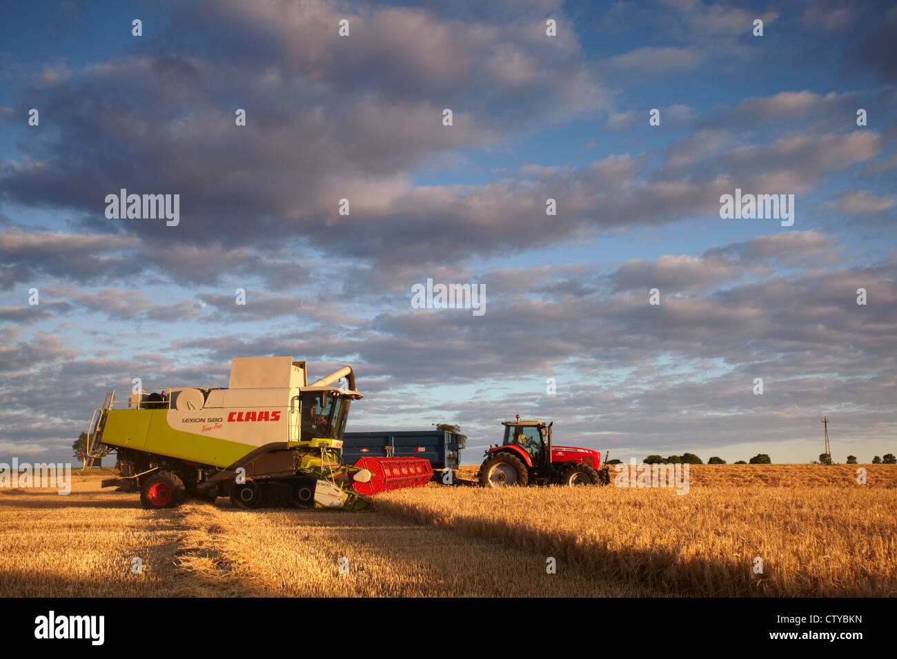 CLAAS Mähdrescher ernten Gerste Stockfoto