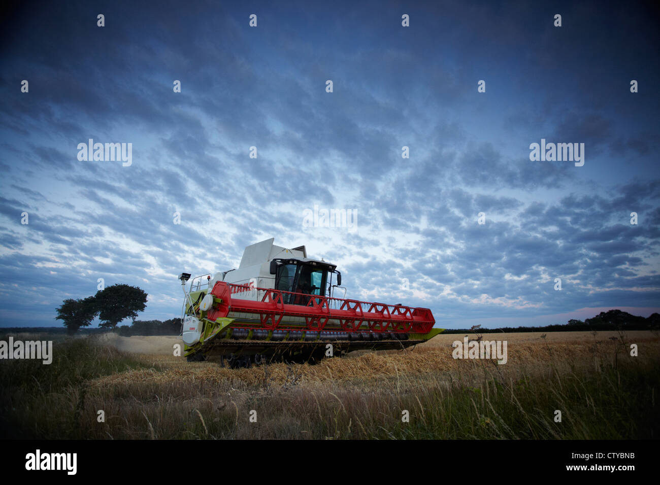 CLAAS Mähdrescher ernten Gerste Stockfoto