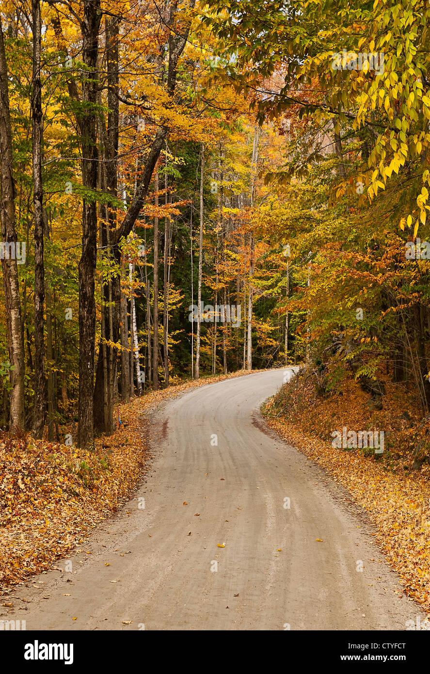Unbefestigte Landstraße im Herbst, Vermont, USA Stockfoto