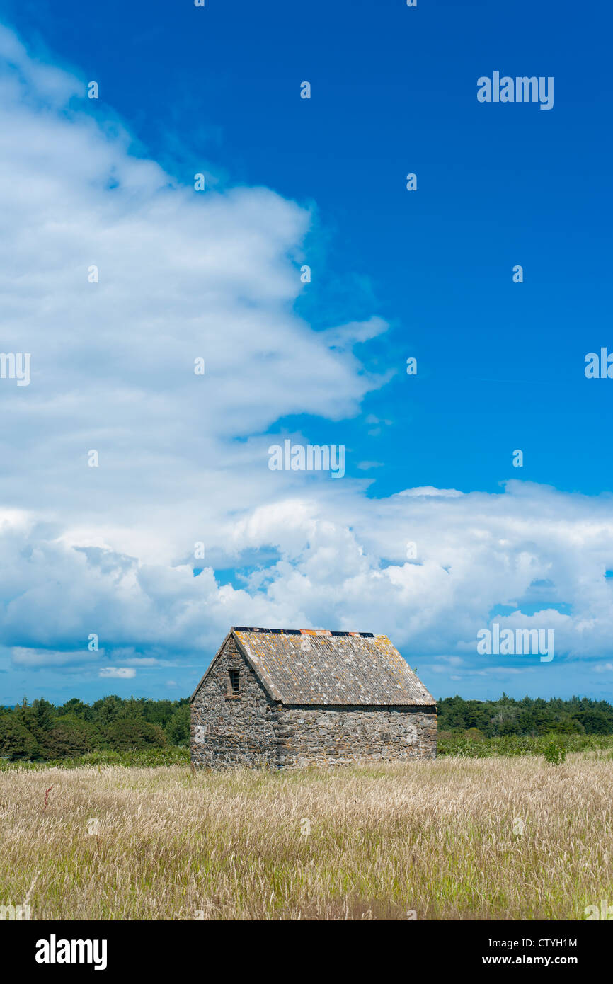 Scheune auf Caldey Island in der Nähe von Tenby, Pembrokeshire, Wales Stockfoto