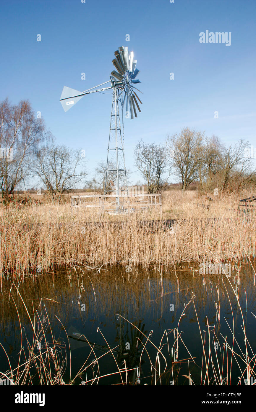 Wind Pumpe Wicken Fen Nature Reserve Cambridgeshire England UK Stockfoto