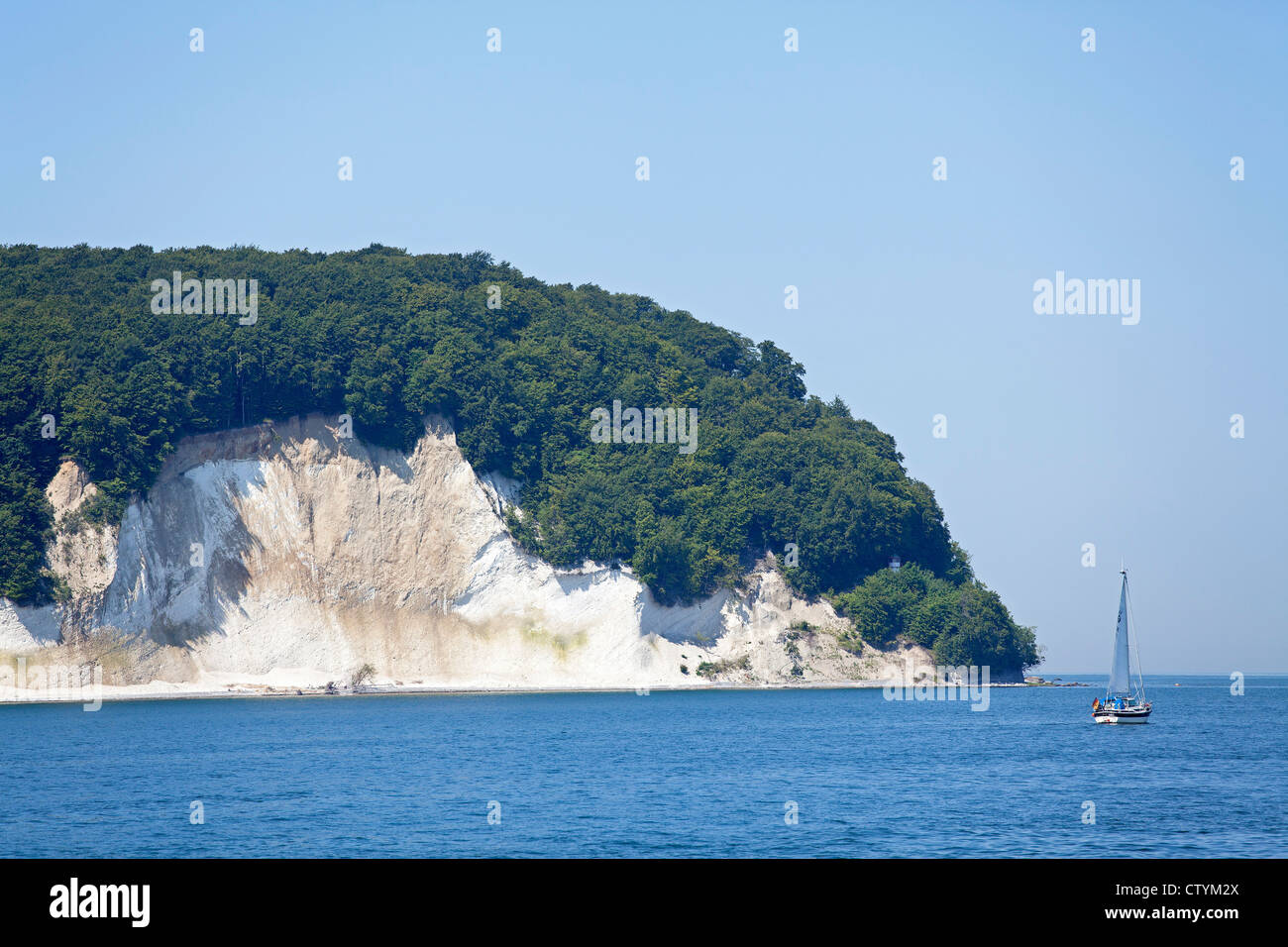 Kreidefelsen in der Nähe von Sassnitz, Halbinsel Jasmund, Insel Rügen, Ostseeküste, Mecklenburg-West Pomerania, Deutschland Stockfoto