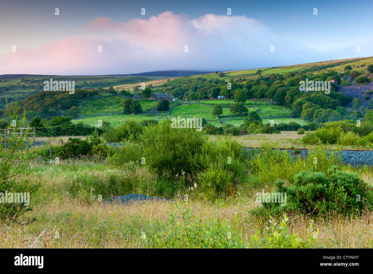 Landschaft in der Nähe von Bettws Garmon, Snowdonia-Nationalpark, Wales Stockfoto