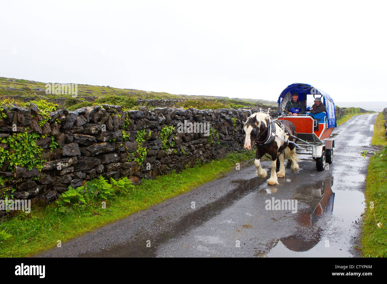 Pferd und Wagen auf den Aran-Inseln Stockfoto