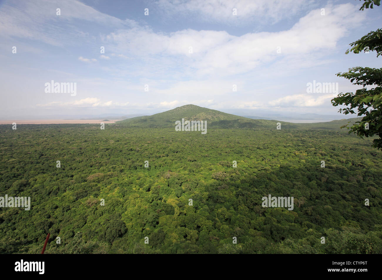 Afrikanische Landschaft Stockfoto