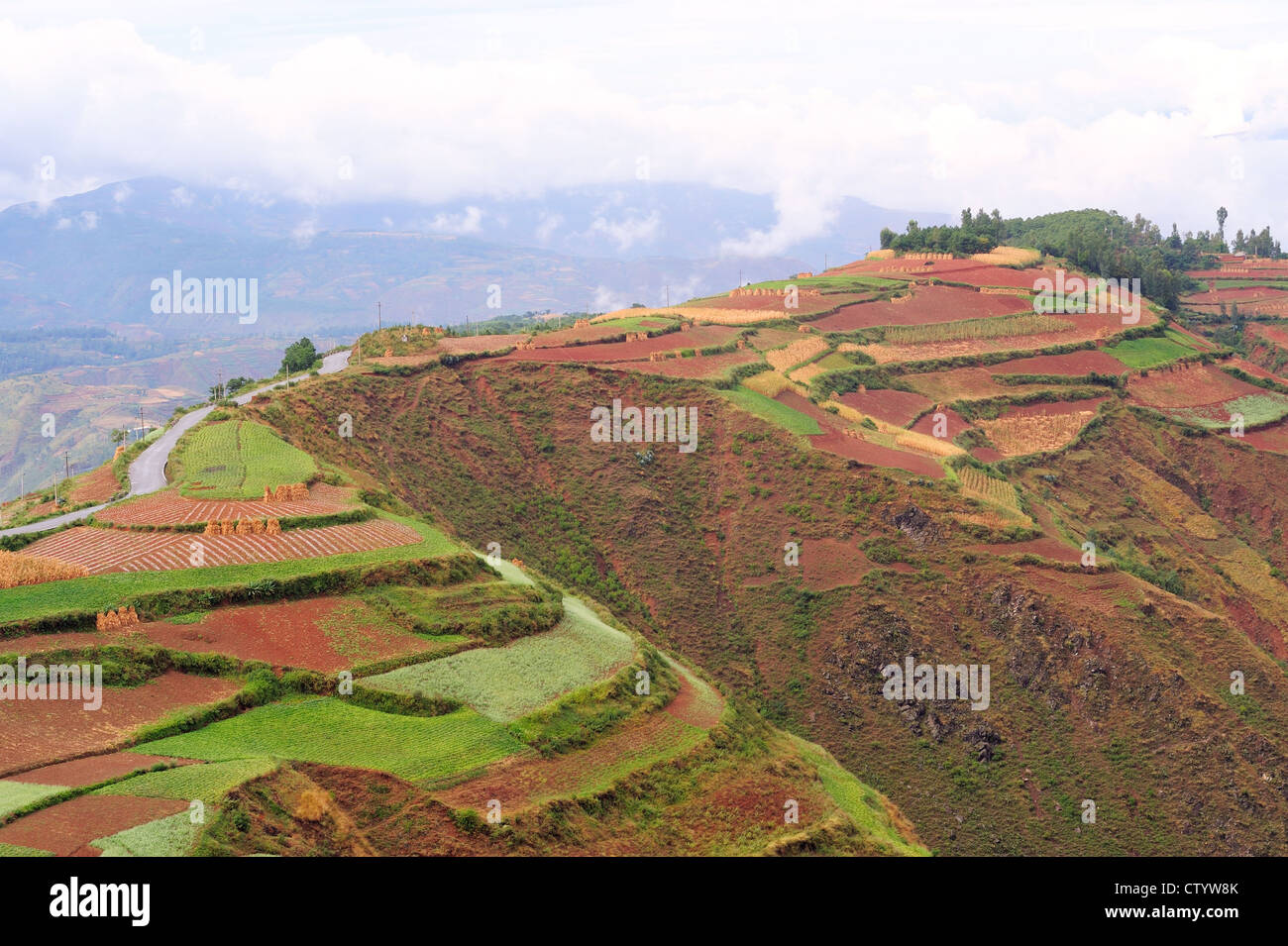 Dongchuan, Yunnan Laterit Terrassen, Stockfoto