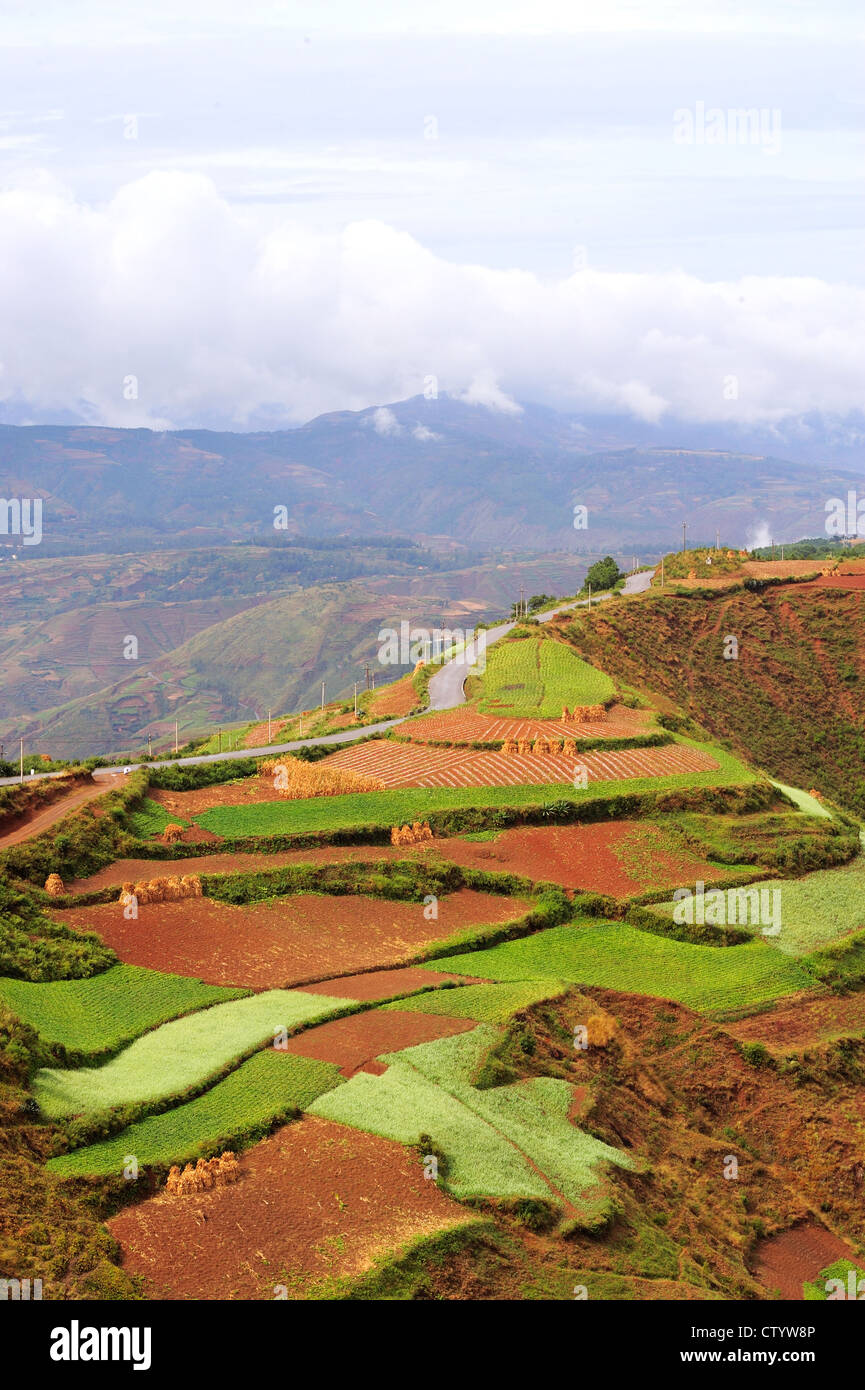 Dongchuan, Yunnan Laterit Terrassen, Stockfoto