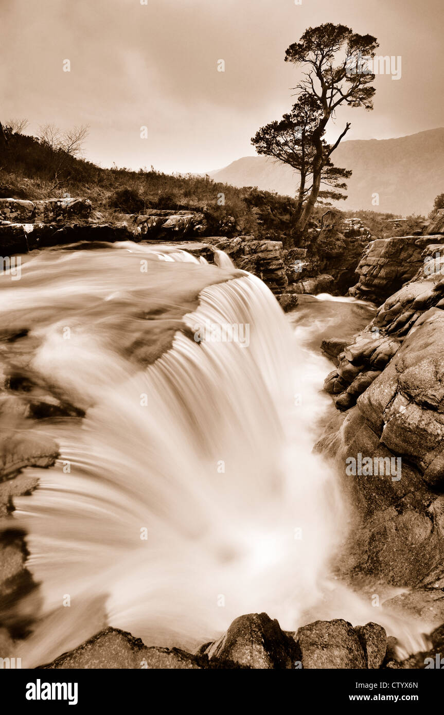 Einsamer Scots Kiefer und Wasserfall am Abhainn ein Fhasaig, Torridon, Schottisches Hochland. Sepia getönten Bild Stockfoto
