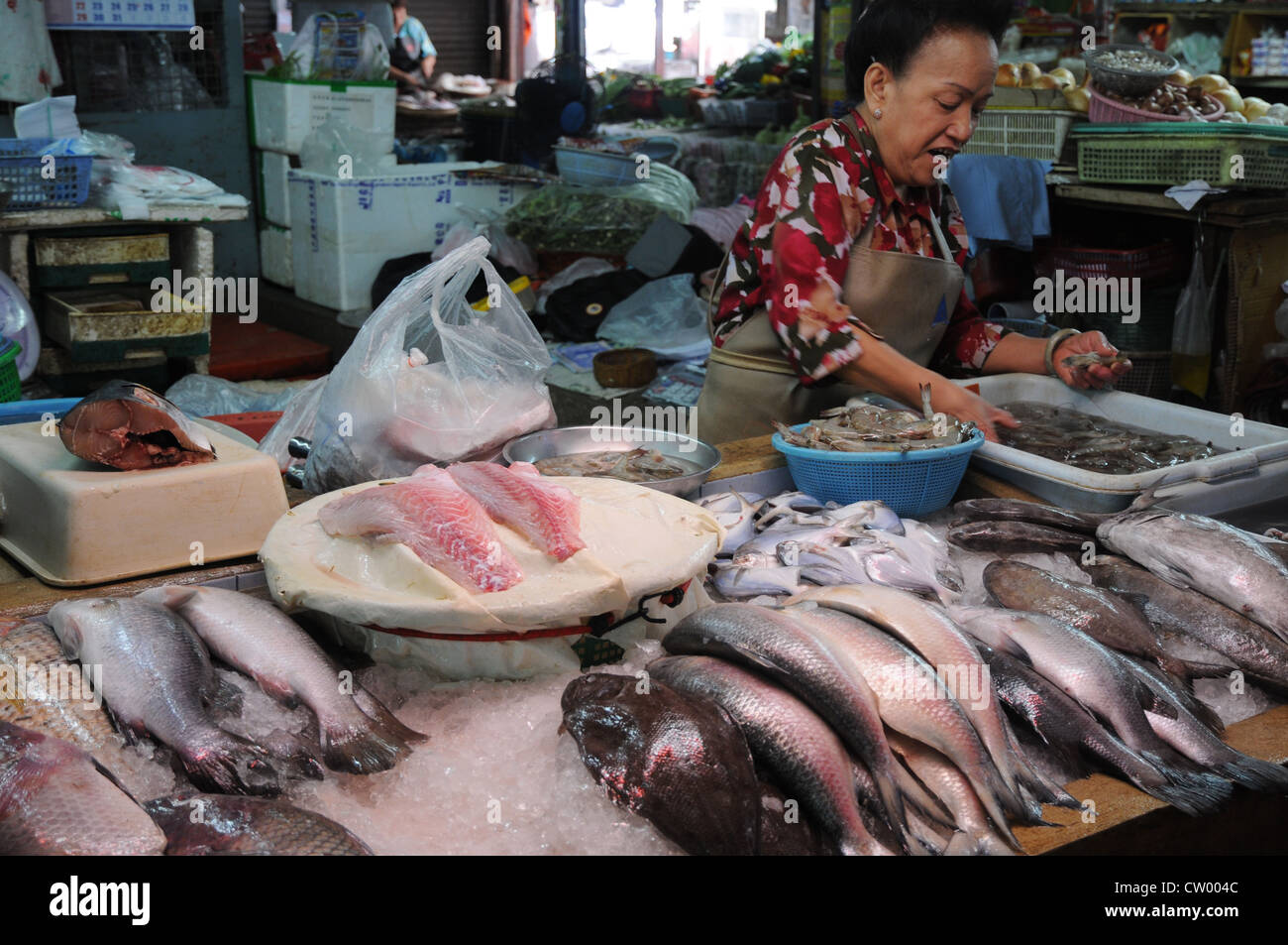 Fisch-Markthalle, Reinigung von frischem Fisch, Asoke Road und Sukhumvit Road, Soi 21, Bangkok, Thailand Stockfoto